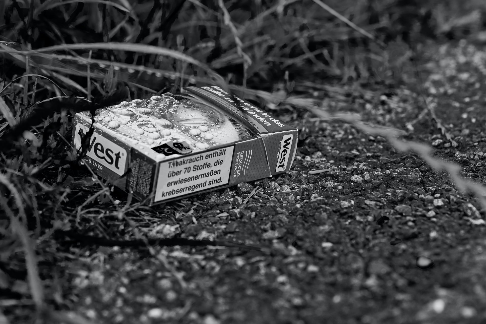 Müll im Wald - eine achtlos weggeworfene Zigarettenschachtel